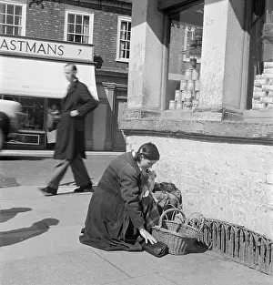 Knelt: Woman shopping