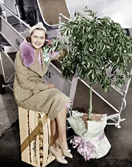 Warranties: Woman sitting on a crate of oranges next to a plane