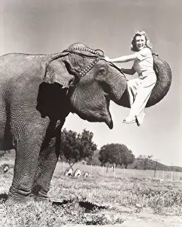 Obedience: Woman sitting on elephant's trunk