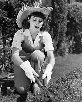 Trimmer: Woman trimming hedge