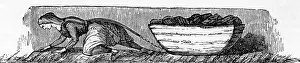 1844: Woman in a tunnel, 1844