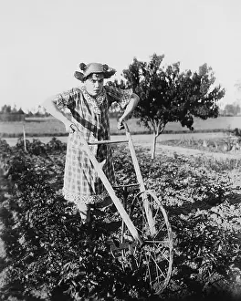 Cultivating: Woman using walking plow in garden