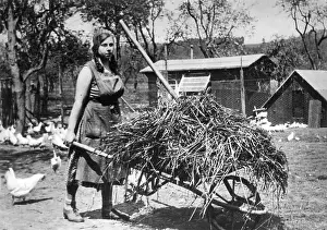 Mucking: Woman with wheelbarrow, 1933