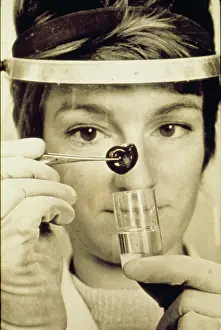 Tweezers: Woman at work, Snail Research Centre
