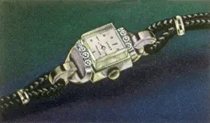 Loops: Woman's Dress Watch