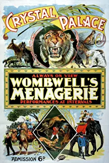 Zoos: Wombwell's Menagerie