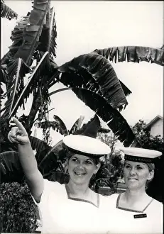 Surgeons: Two women in the Australian naval service