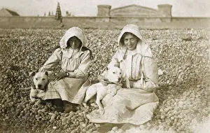 Pebbly: Two women on beach with bull terriers