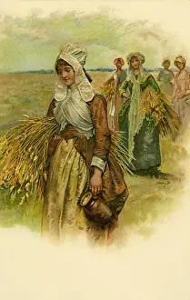 Cornfields: Women in the cornfields