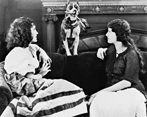 Couches: Two women on couch with dog