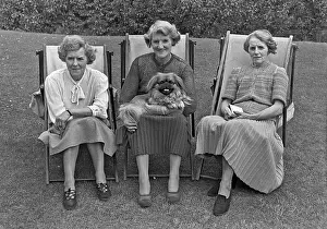 Sibling: Three women in deckchairs with a dog