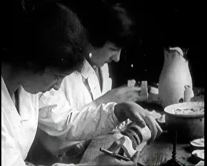Dentists: Women Dentists Working On False Teeth