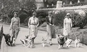 Walkies: Four women with dogs, Bournemouth