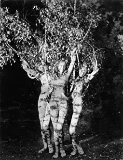 Reinhardts: Three women dressep up as a tree