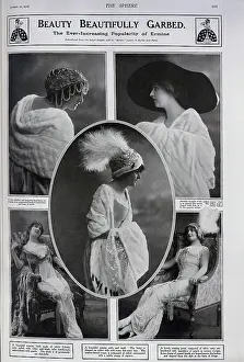 Stoat: Women in ermine