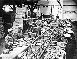 Cannery: Women in a fish cannery, 1905