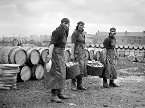 Fishery: Three women fishery workers