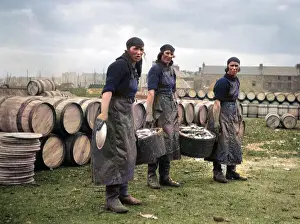 Fishery: Three women fishery workers