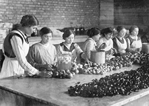 Eligible: Women and girls at fruit processing, 1917