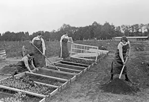 Emancipate: Women growing vegetables, 1914