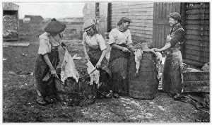 Cleaners: Women Gutting Fish 1908