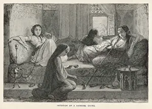 Veils: Women in Harem