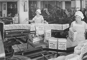Conveyor: Women inspecting filled boxes of cereal before