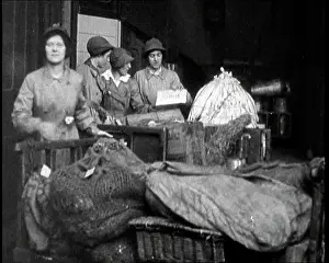 Parcels: Women Loading Pallets Of Parcels Onto Train