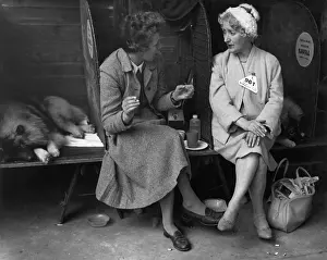 Compartments: Women at the Manchester Dog Show