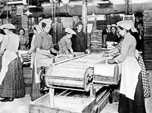 Package: Women in a packaging factory, 1912