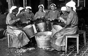 Kriegshilfsdienst: Women peeling potatoes, 1916
