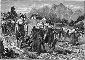 Plowing: WOMEN PLOUGHING
