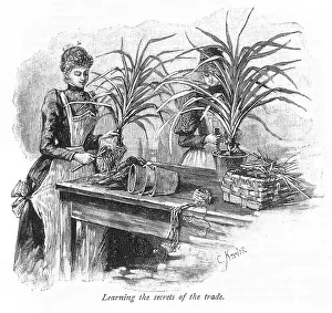 Potting: Two women potting plants