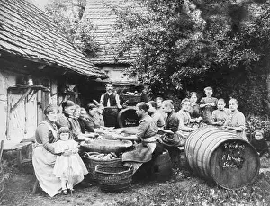 Cucumbers: Women process the cucumber harvest, 1903