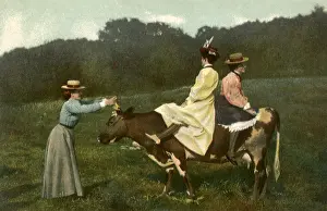 Grasps: Women Riding Cow