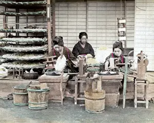 Worms: Women sorting silk worms, Japan