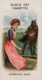 Harrowing: Women on War Work WW1