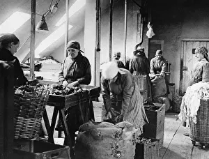 Disposal: Women workers in Berlin, 1930
