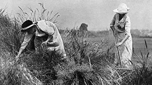 Upkeep: Women workers at Sandy Lodge golf course