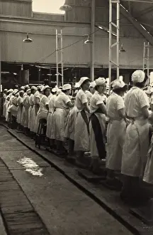 Grapefruit: Women working in a grapefruit canning factory ?