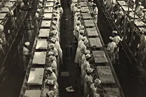 Grapefruit: Women working in a grapefruit canning factory ?