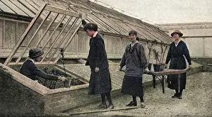 Glasshouse: Women working in the hothouses at Windsor, WW1