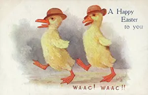 Waac: Women WW1 WAAC