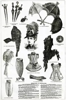 Bustle: Women's clothing 1886