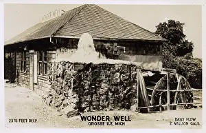 Gushing: Wonder Well - 2375ft deep - Grosse Ile, Michigan