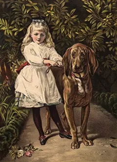 Canines: He Wont Hurt You