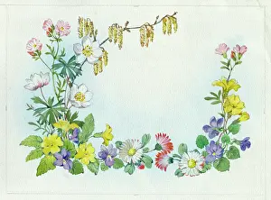 Periwinkles: Wood anemones, daisies, violets, periwinkles and lambs tails