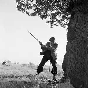 Lumberjacks: Wood Cutter