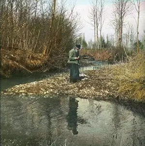 Gatherer: Wood gatherers in the Danube Meadow