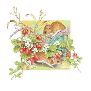Strawberries: Two wood mice and wild strawberries